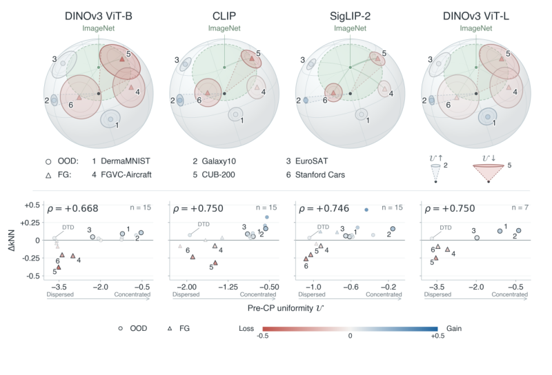 Initial feature geometry and continued-pretraining response across four pretrained encoders.